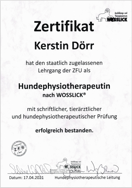 Zertifikat Hundephysio