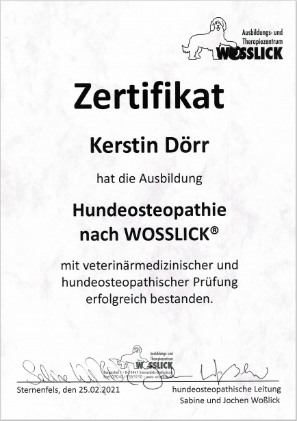 Zertifikat Hundphysiotherapie